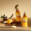 Nature Republic Argan Essential Hair No-Wash Treatment 160ml / 네이처리퍼블릭