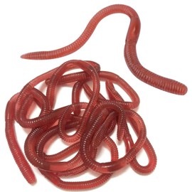 10 PCS Stretchy Earthworms Realistic Earthworms, Realistic Fake Worms Scary Props, Wiggly Worm Soft Stretchy Rubber Earthworms, Trick Toy for Prank April Fools Day Supplies Party Favor Gifts