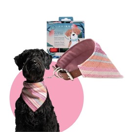 AMIKOO | Kit Collar para Perro + Bandana | Nube Rosa | Diseño Artesanal | Hecho de Piel de Nopal | Compra con Causa | Accesorios para Perros | Talla S