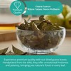 5.2oz Dried Guava Leaves, Hojas De Guayaba Secas, Natural Guava