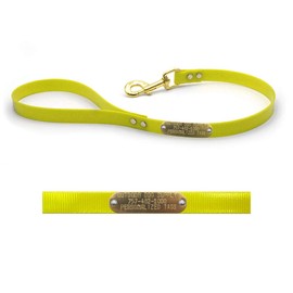 2ft DayGlow Training Bully Lead with Custom Name Plate (Yellow)