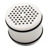 Culligan Clear Promise White Plastic Showerhead Filter
