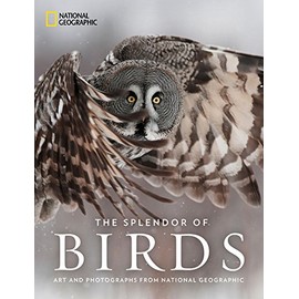 The Splendor of Birds