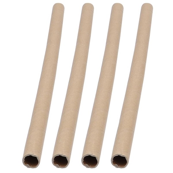 PLAFOPE 4pcs Blank Paper Tube for Boy Girl Crafting Refillable