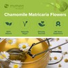 Mimea Chamomile Matricaria Flowers | 1kg | Quality Ingredients |