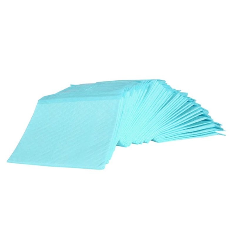 GANAZONO 10Pcs Disposable Pet Training Urine Pads Medium Random Blue