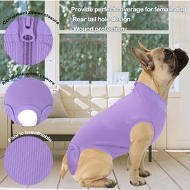Wabdhaly Dog Recovery Suit for Female Spay, Puppy Surgical Recovery Zip Up Bodysuit, Anti-Licking Suit for Abdominal Wounds, Cone Alternative, XL, Purple