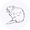 24 x 40mm Round 'Beaver' Stickers (SK00038559)