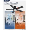 Fanbulous 42inch Ceiling Fan with Light and Remote Modern Flush