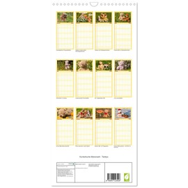 Familienplaner 2025 - Kunterbunte Bärenwelt - Teddys mit 5 Spalten (Wandkalender, 21 cm x 45 cm), CALVENDO