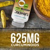 Turmeric Curcumin with Triphala - 2250mg/d - 120 Veggie Capsules