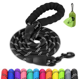Joytale Dog Leash for Large Dogs, Heavy Duty Nylon Leashes with Comfortable Padded Handle and Highly Reflective Threads, Ideal for Walking and Training, Black, 5'×1/2''