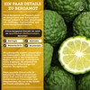 QIDOSHA Citrus Bergamot Extract Plus Piperine, 180 Capsules in Pharmacist