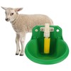Automatic Drinker Waterer For Sheep Pig Piglets Cattle Livestock Water