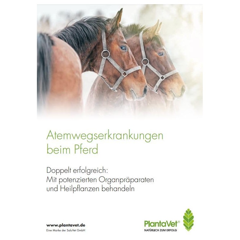 PlantaVet PlantaPulmin Basic Pellets, 1 kg, Supplementary Feed for Horses