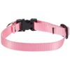 LupinePet Basics 1/2" Pink Adjustable Dog Collar 8-12" for Small