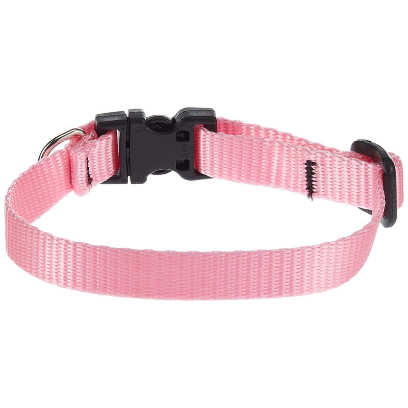 LupinePet Basics 1/2" Pink Adjustable Dog Collar 8-12" for Small