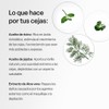 TEIA COSMETICOS Gel para peinar y estilizar cejas de ingredientes