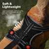 FAYOGOO Dog Harness Medium, No Pull Vest Harness with 2