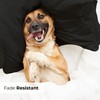 King Size Pillow Cases Set of 4 - Extra Soft