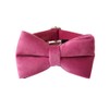 Bowtie Dog Collar, Soft & Comfy Velvet Dog Bow tie