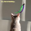Cat Feather Toy, Retractable Cat Toys Wand 2 Wands &
