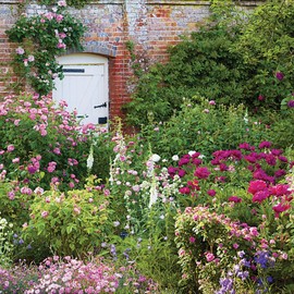 Photographic Greeting Card (WDM6397) National Trust - Mottisfont