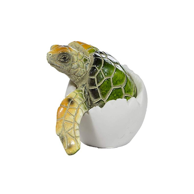 Cute Things Adorable Baby Sea Turtle Hatching from Egg 3
