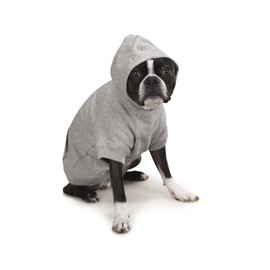 Zack & Zoey Basic Hoodie for Dogs, 8" X-Small, Heather Gray