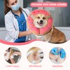 DEWVIE Inflatable Recovery Dog Cone, Protection Dount Collar for Small