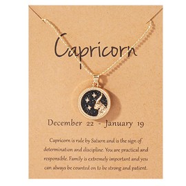 Zodiac Necklace for Women 12 Constellation Coin Embossed Necklace Astrology Horoscope Necklace for Teen Girls Best Gifts for Girlfriend(Capricornus)