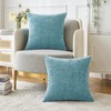 MIULEE Pack of 2 Smoke Blue Throw Pillow Covers 20x20