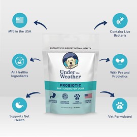 Under the Weather Pet Soft Dog Chew Supplements for Calming and Probiotics | Supports Relaxation and Normal Emotional Balance in Dogs (Probiotics, 120 Count)