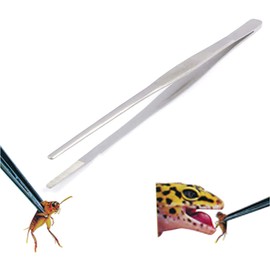 OdontoMed2011 Stainless Steel Feeding Tongs, 10-Inch