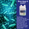 Dr. Pooper Accelerator Septic Tank Treatment - Environment-Friendly Septic System