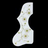 (220J07) Left-handed Acoustic Guitar Pickguard, White/gold