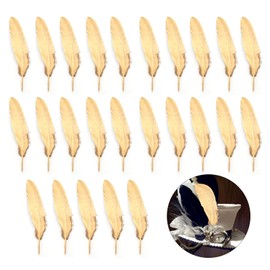 Feather Shower, Artificial Feather Shower, Craft Materials, Decorative Feathers, DIY Decorative Accessories, Weddings, Events, Weddings, Birthdays, Parties, Products, 5.9 - 7.9 inches (15 - 20 cm),