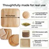Indie Palm 10 Inch Square Disposable Palm Leaf Plates –