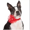 Aria Starburst Dog Scrunchy Sequins Red Large