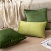 MIULEE Pack of 2 Velvet Soft Solid Decorative Square Throw