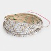Mextronic 12 V/24 W LED Strip 5 m 12 V