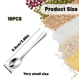 Pack of 10 Small Stainless Steel Spoons for Spice Jars, Sugar & Spices, Mini Scoops for Salt, Funny Kitchen Accessories, Perfect for Spice Containers, Compact & Practical