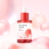 roundlab 라운드랩 동백 딥 콜라겐 탄력 앰플 30ml