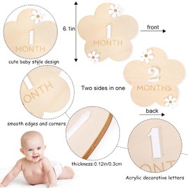Daisy 1-12 Month Milestone Cards - Baby Monthly Growth Record Wooden Cards,Daisy Flower First Year Milestone Signs,Daisy Girl 1-12 Month Photo Props,Wooden Newborn Monthly Announcement Baby Showers