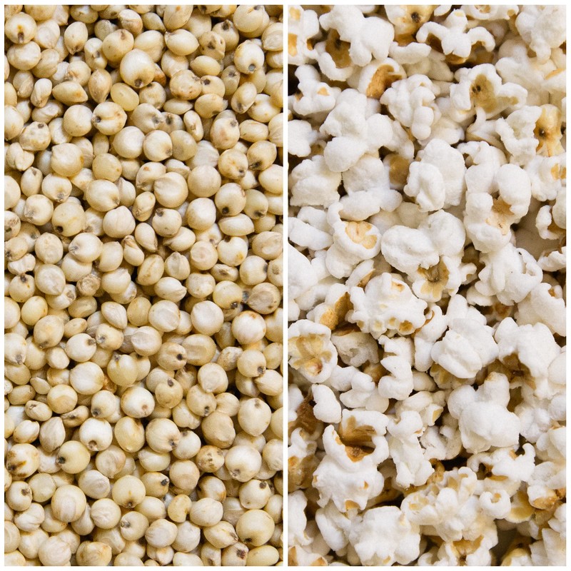 Nature Nate’s Popped Sorghum, Avocado Oil Sea Salt - Organic