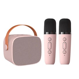 RuiJOTWAT Wireless Microphone Speaker, Bluetooth Small Speaker, Suitable for Home and Outdoor, Pink