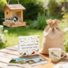 North American Bird Identification Cards, 30 Backyard Birds for Bird