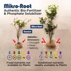 Mikro-Root, Trichoderma Fungi for Healthier Root Management. Solubilize Fixed Phosphate