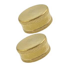 BESPORTBLE 2pcs Garden Hose Cap Female Connector Leakproof Hose Stopper Durable and Easy to Install for Sealing and Protecting