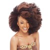 Janet Collection Synthetic Hair Braids Noir Afro Kinky Bulk 24"
